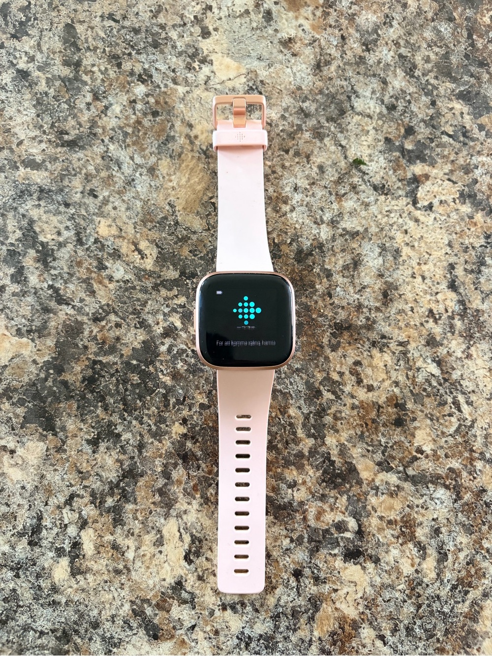 fitbit Versa Lite Pink Silicone Smartwatch with Rose Gold Accents